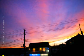 sunset_20100719.jpg